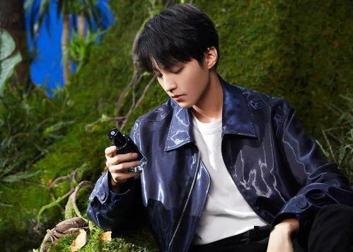 王俊凯壁纸最新爆料图片,青春气息扑面而来